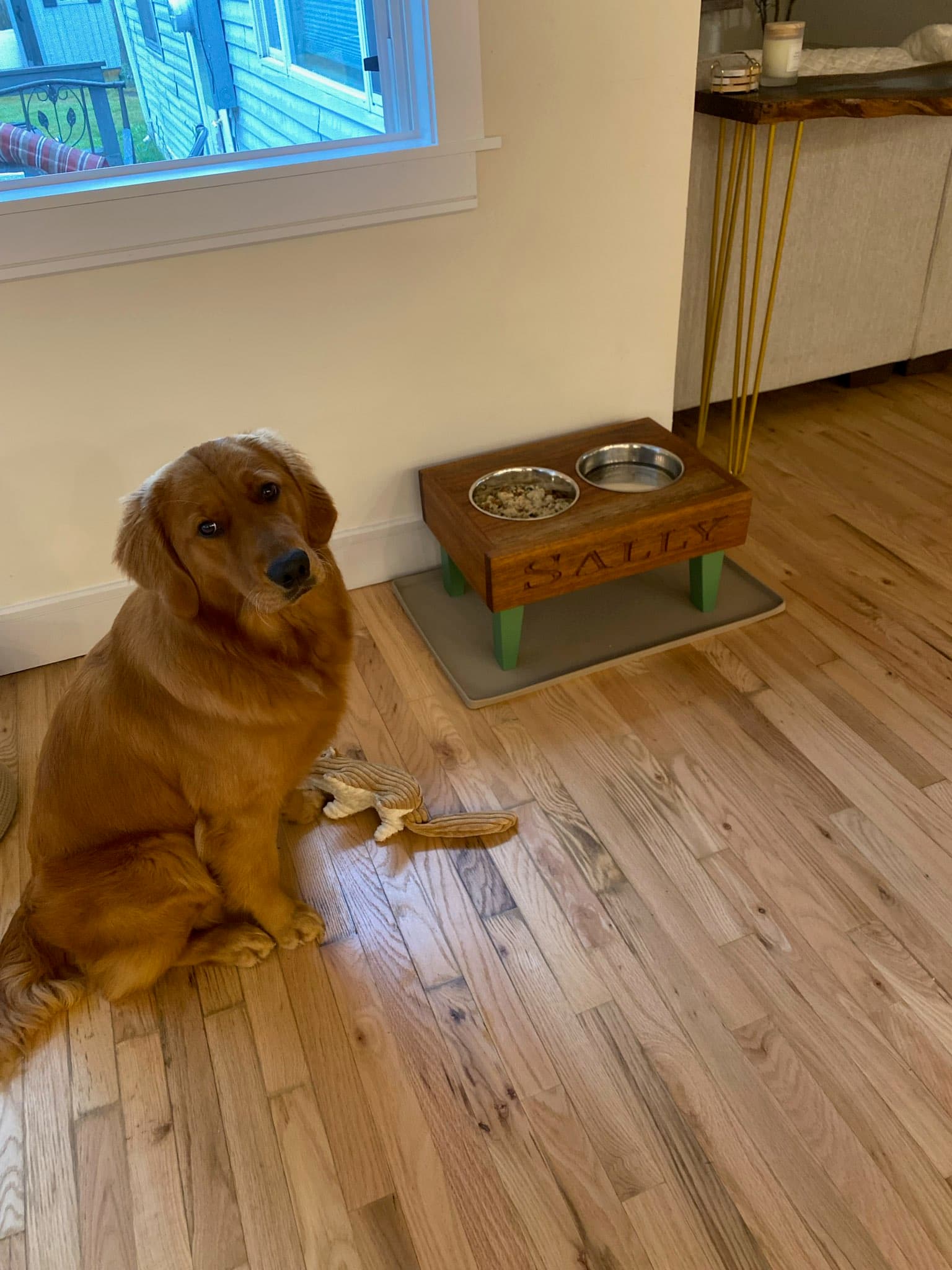 Personalized raised dog bowl stand with carved name