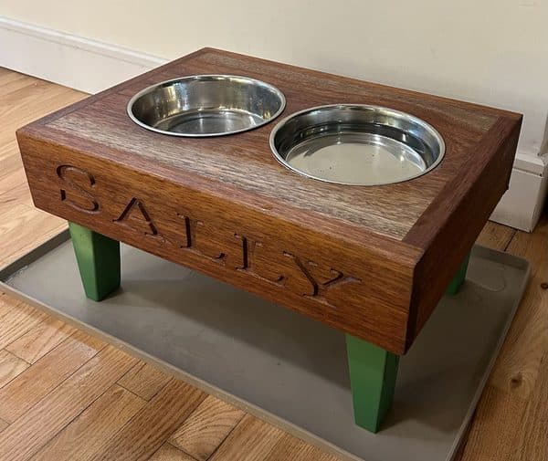 Personalized elevated dog bowl stand with SALLY carved and green painted legs