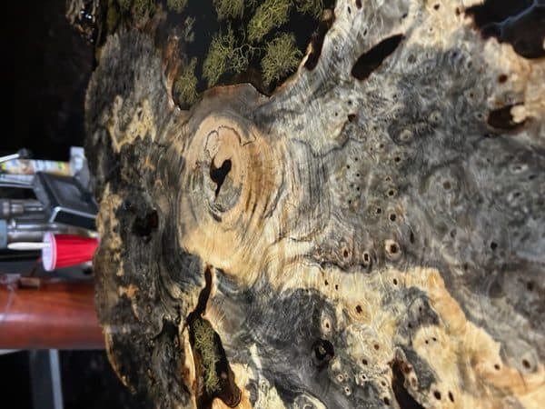 Raw burl wood slab showing detailed natural grain patterns